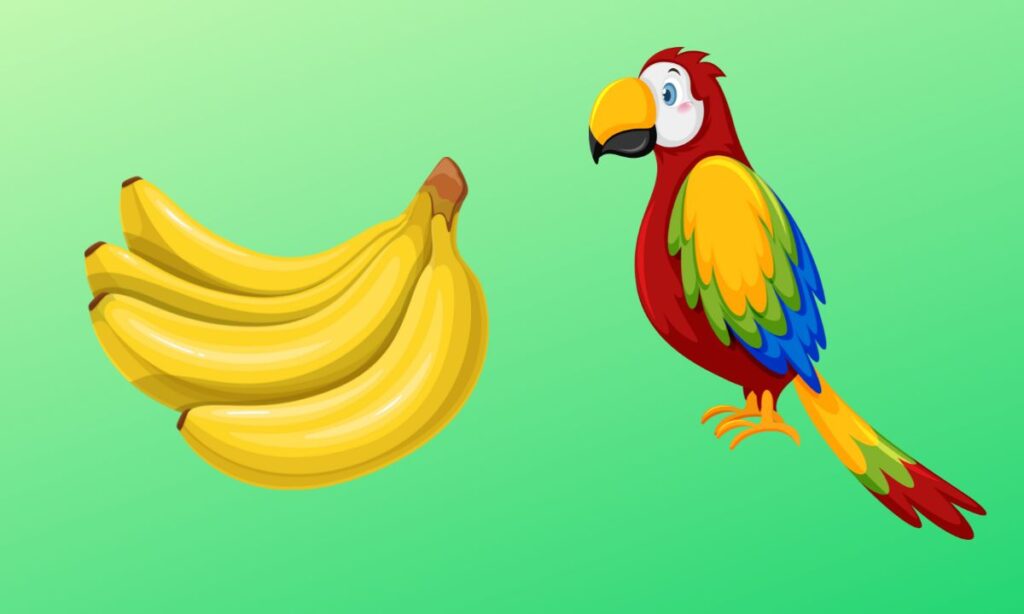 Can Parrots Eat Bananas (Avian Vet Reviewed Guide)