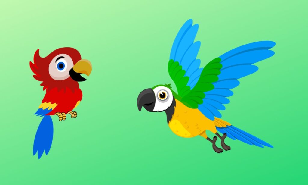 Parrot Types and Care