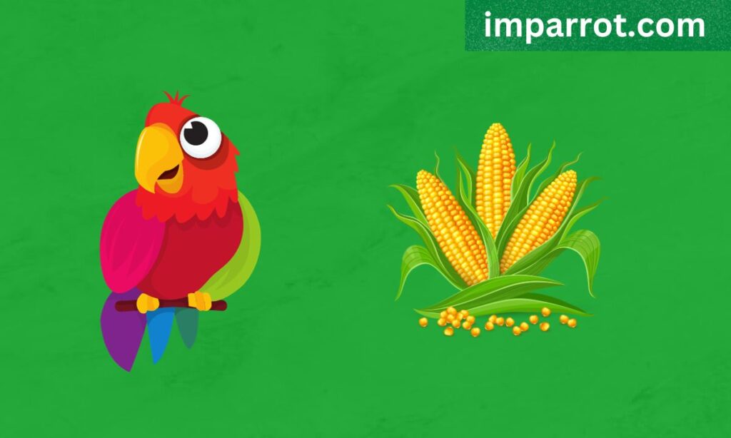 Can Parrots Eat Corn?