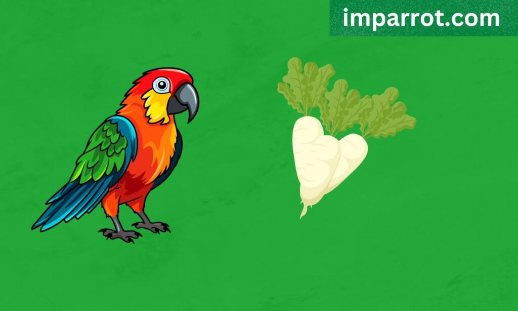 Can Parrots Eat Radishes?