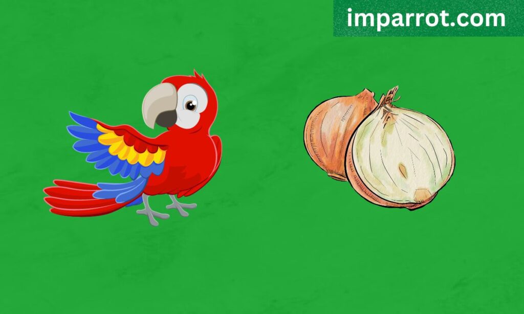 Can Parrots Eat Onions?