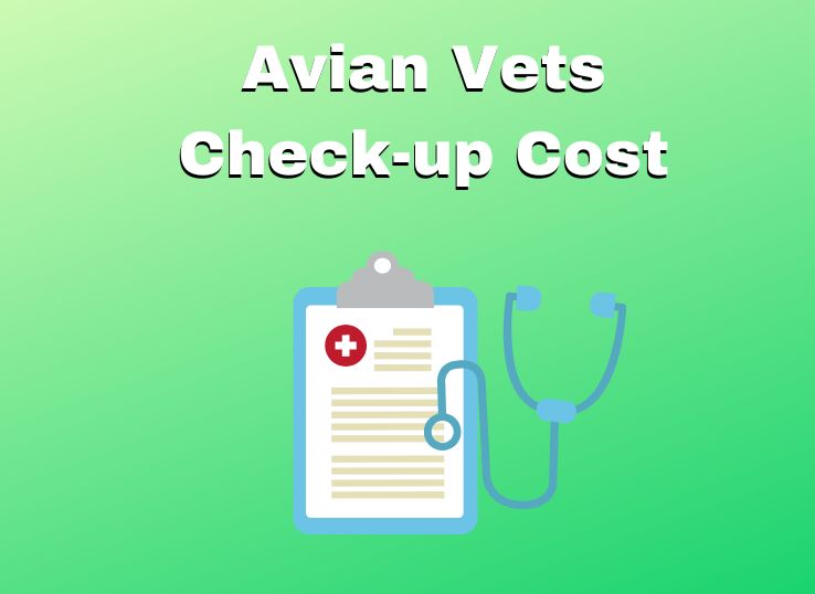 Avian Vet Check-up Cost (2023)