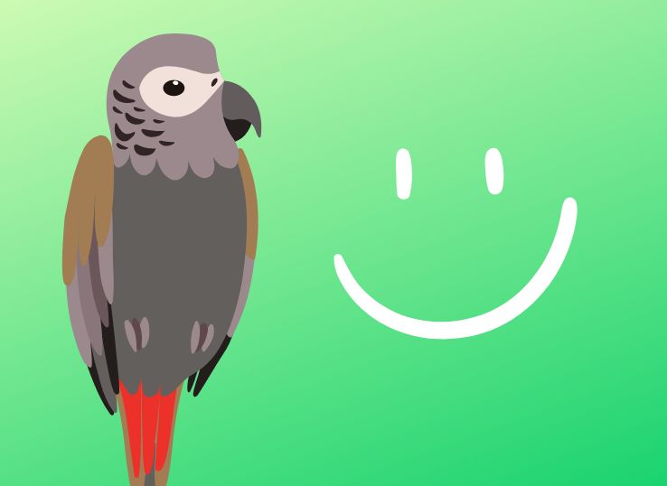 15 Signs of a Happy African Grey ( Expert Opinion)