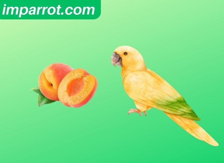 Can Conures Eat Peaches (Vet’s Guide)