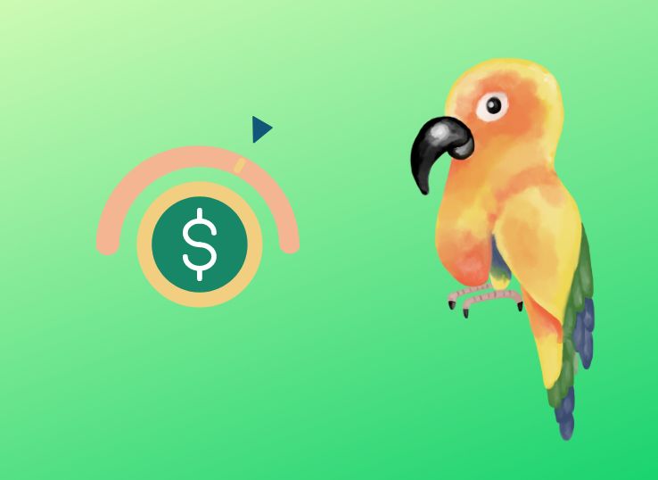 How Much Does a Sun Conure Cost? (Price Guide 2024))