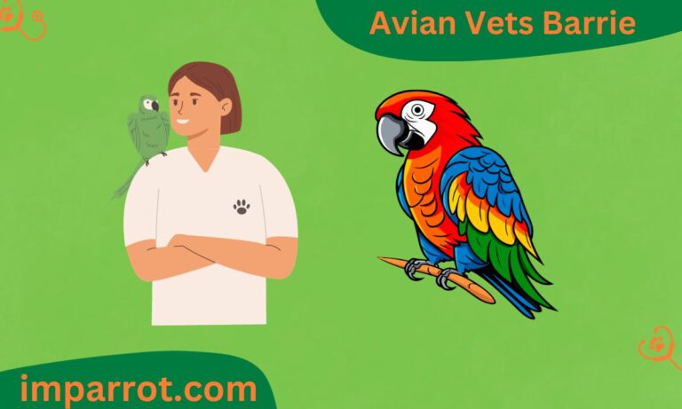 Avian Vets Barrie (3 Best Avian Vets in Barrie)