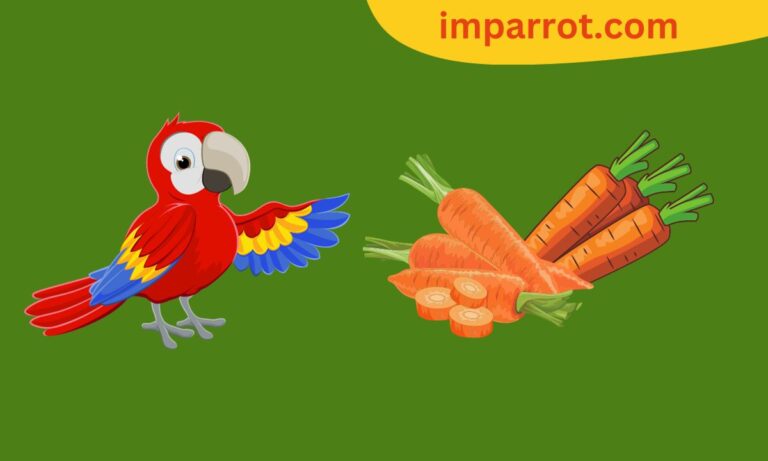 Can Parrots Eat Carrots? (Avian Vet Reviewed Guide)