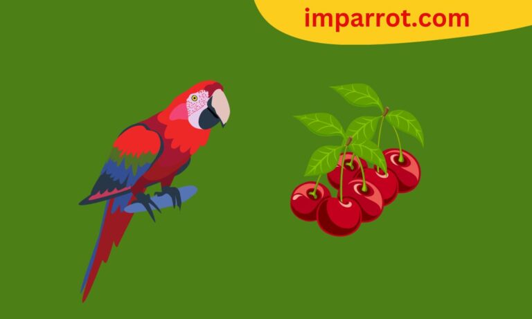 Can Parrots Eat Cherries? (Avian Vet Reviewed Guide)