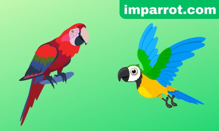 Ultimate Guide to Parrot Behavior