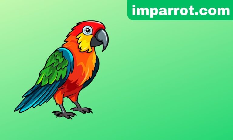 Parrot Lifespan: How Long Do Parrots Live?