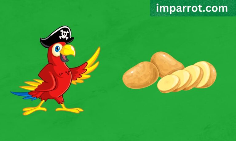 Can Parrots Eat Potatoes? (Avian Vet Reviewed Guide)