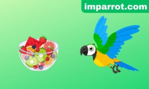 What Fruits Do Parrots Eat