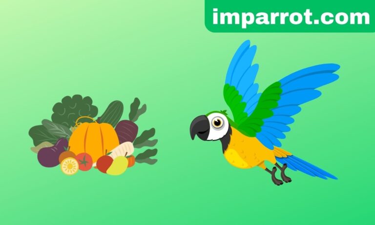 What Do Parrots Eat? (A Comprehensive Avian Vet Reviewed Guide)