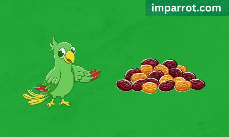 Can Parrots Eat Raisins? (Avian Vet Reviewed Guide)