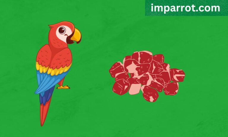 Can Parrots Eat Meat? (Avian Vet Reviewed Guide)