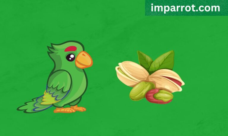 Can Parrots Eat Pistachios? (Avian Vet Reviewed Guide)
