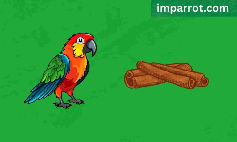 Can Parrots Eat Cinnamon? (Avian Vet Reviewed Guide)