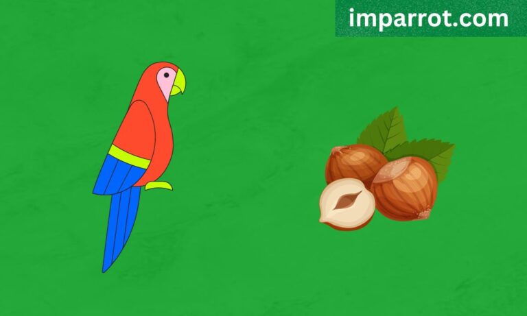 Can Parrots Eat Hazelnuts? (Avian Vet Reviewed Guide)