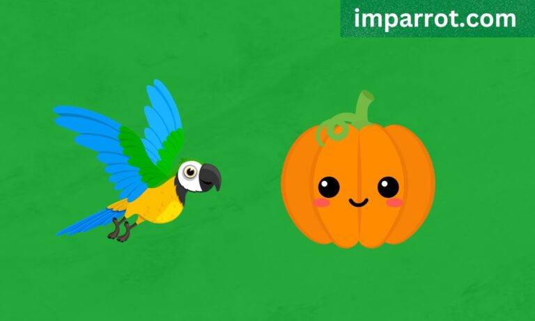 Can Parrots Eat Pumpkin? (Avian Vet Reviewed Guide)