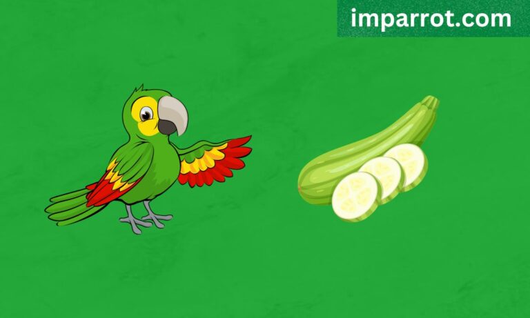 Can Parrots Eat Zucchini? (Avian Vet Reviewed Guide)