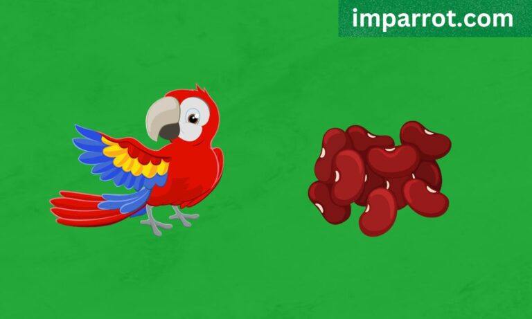 Can Parrots Eat Beans? (Avian Vet Reviewed Guide)