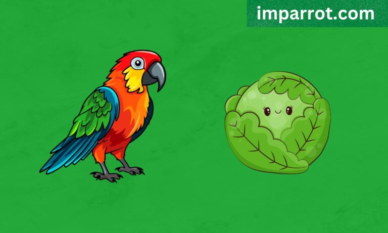 Can Parrots Eat Cabbage? (Avian Vet Reviewed Guide)