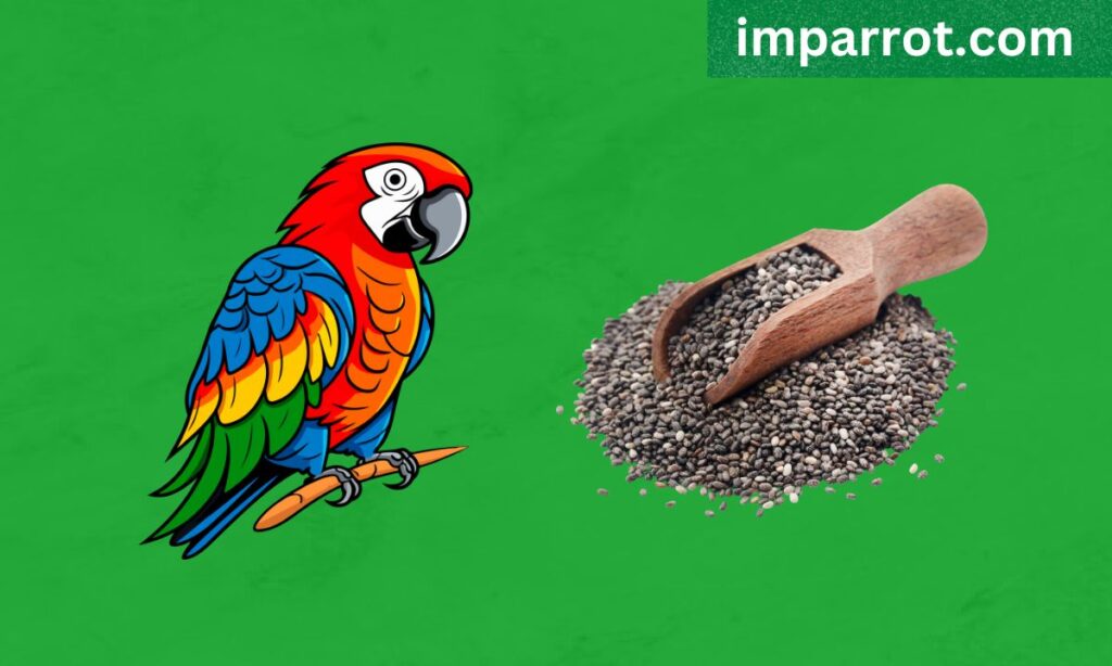 Can Parrots Eat Chia Seeds?