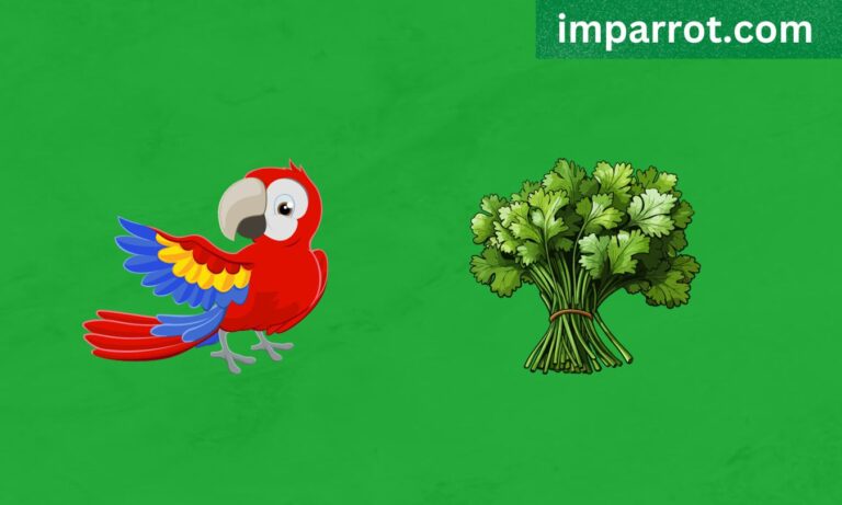 Can Parrots Eat Cilantro? (Avian Vet Reviewed Guide)