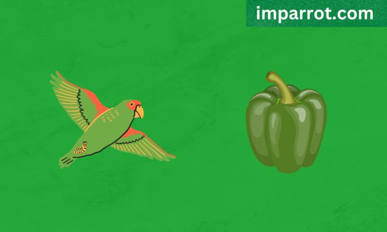 Can Parrots Eat Green Pepper? (Avian Vet Reviewed Guide)