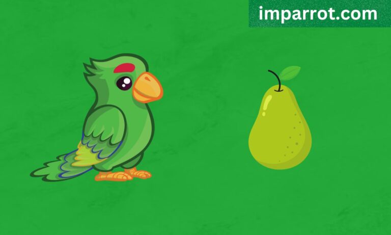 Can Parrots Eat Pears? (Avian Vet Reviewed)