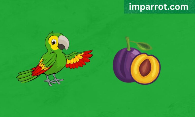 Can Parrots Eat Plums? (Avian Vet Reviewed Guide)