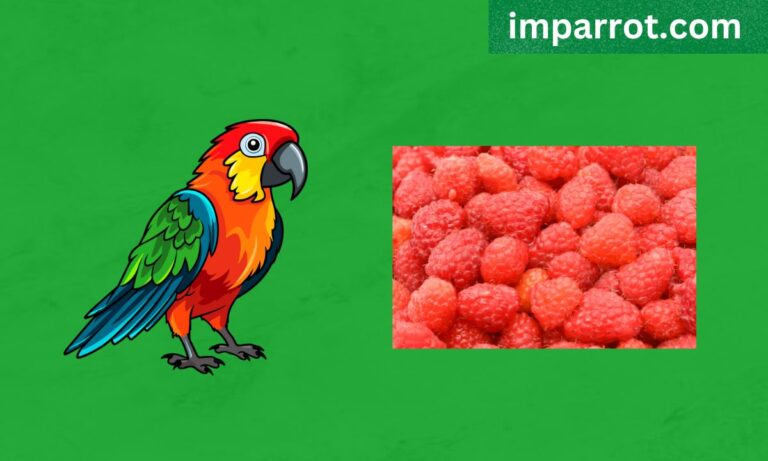 Can Parrots eat Raspberries? (Avian Vet Reviewed Guide)