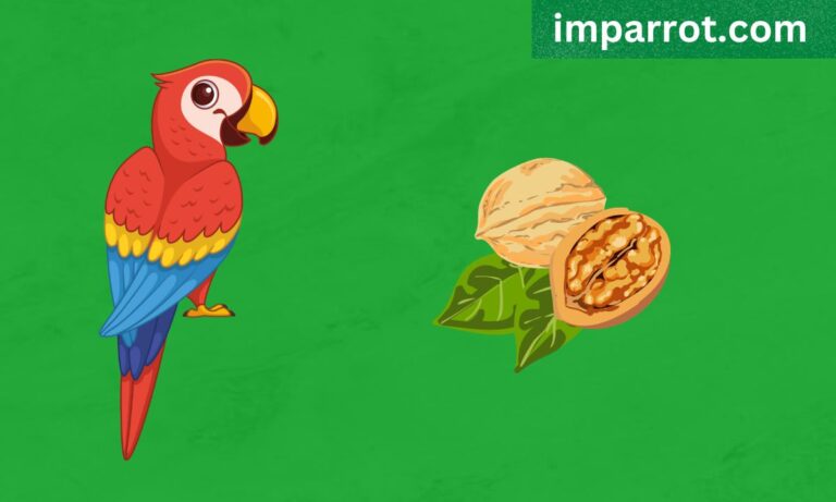 Can Parrots Eat Walnuts? (Avian Vet Reviewed Guide)